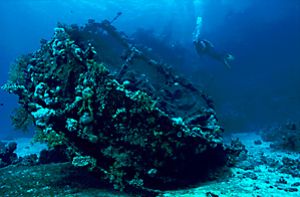 'The Barge' wreck at Fury Shoal, southern Red Sea. Nikon ... by Len Deeley 